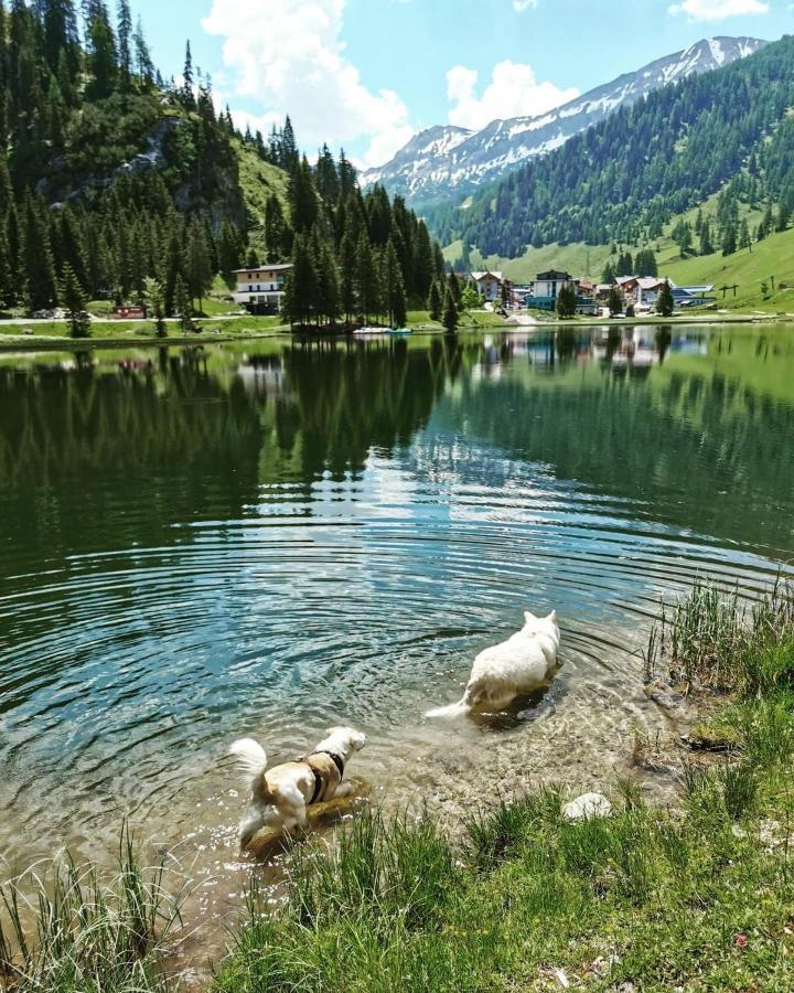 Apart Jasmin Flachau Buitenkant foto